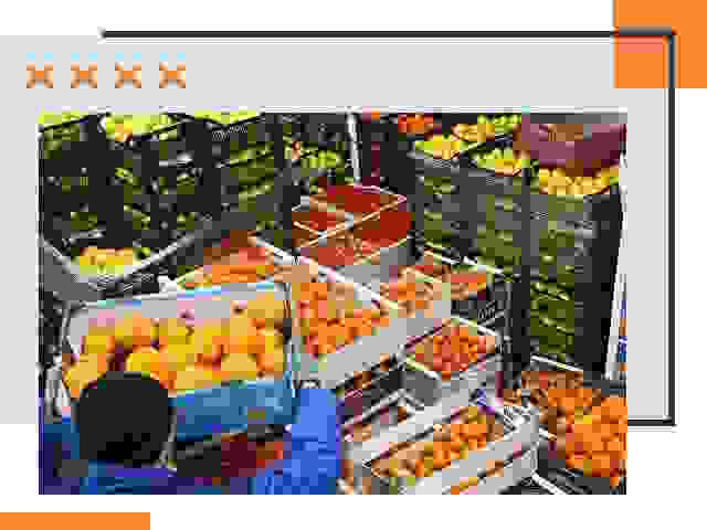 Перевозка скоропортящихся продуктов в Амурске